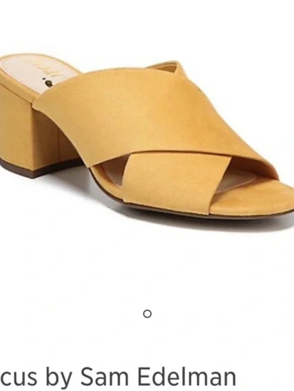 Sam Edelman Suede Crisscross Block Heel Mule